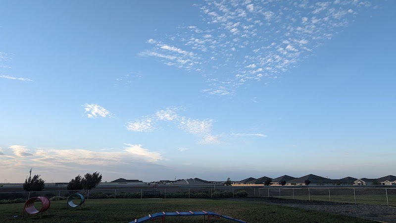 Dog park photo 3