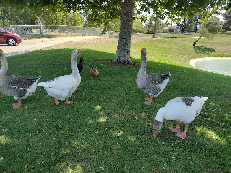 Morgan Hill Community Park photo 4