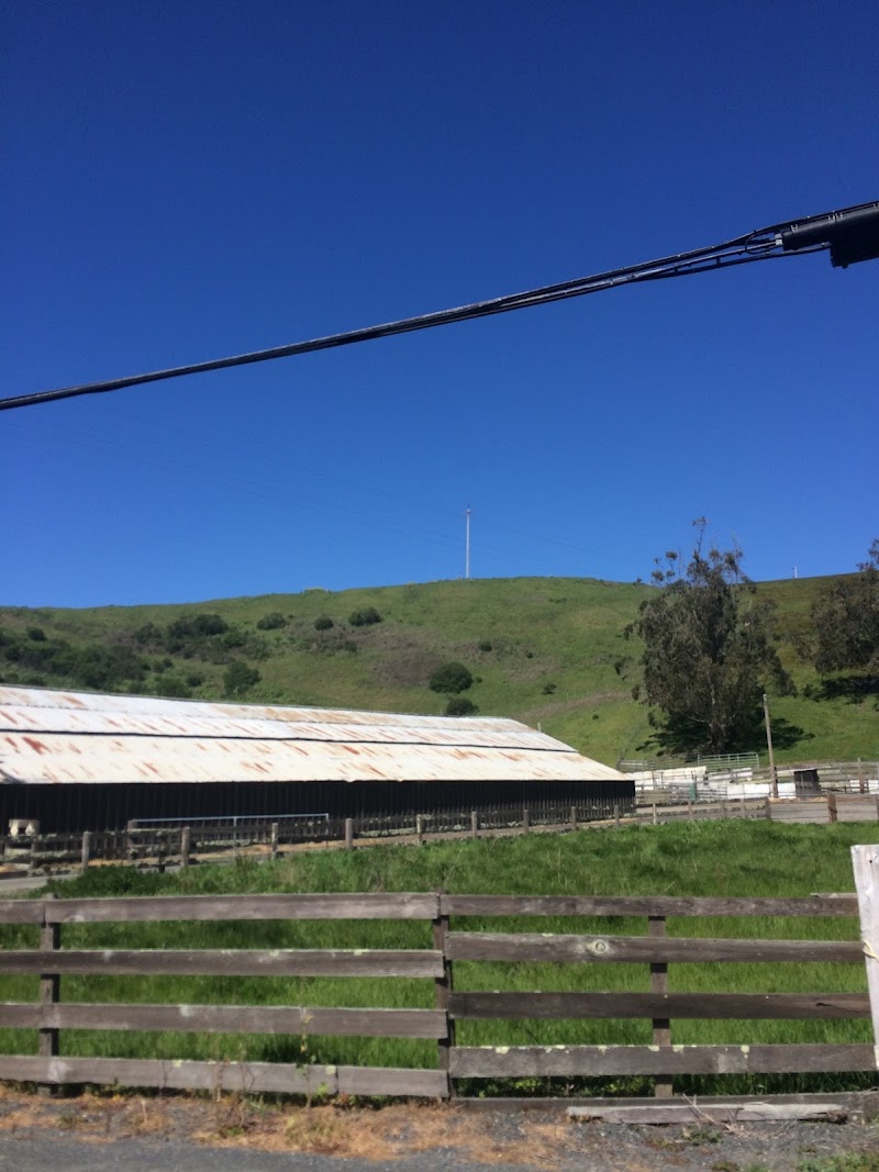 Vino Farms photo 5