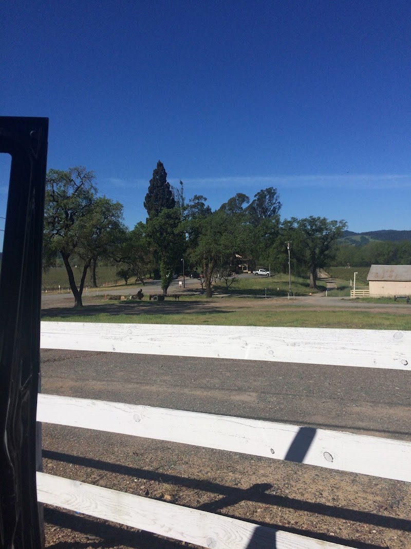 Vino Farms photo 2