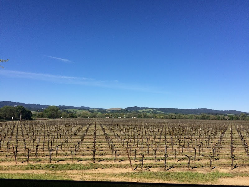 Photo of Vino Farms