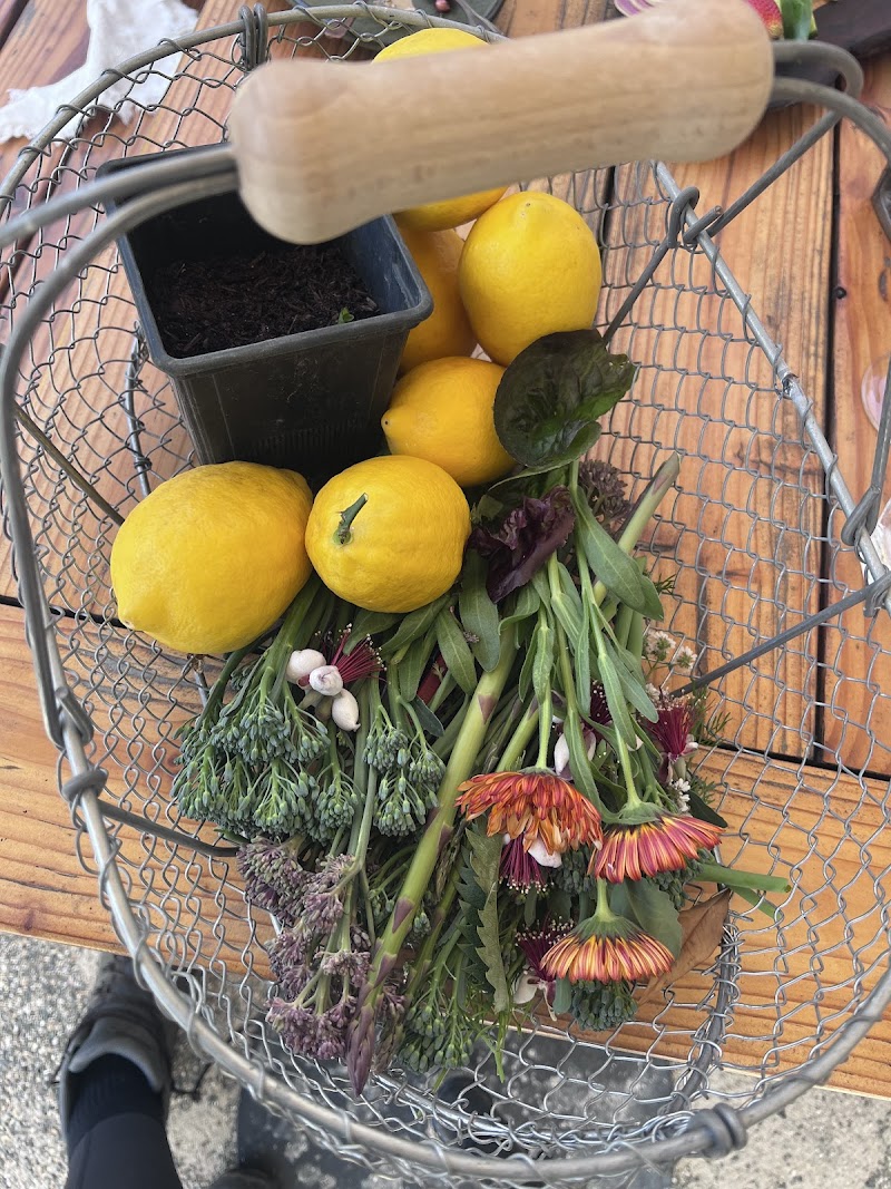 Tomgirl Farms photo 3