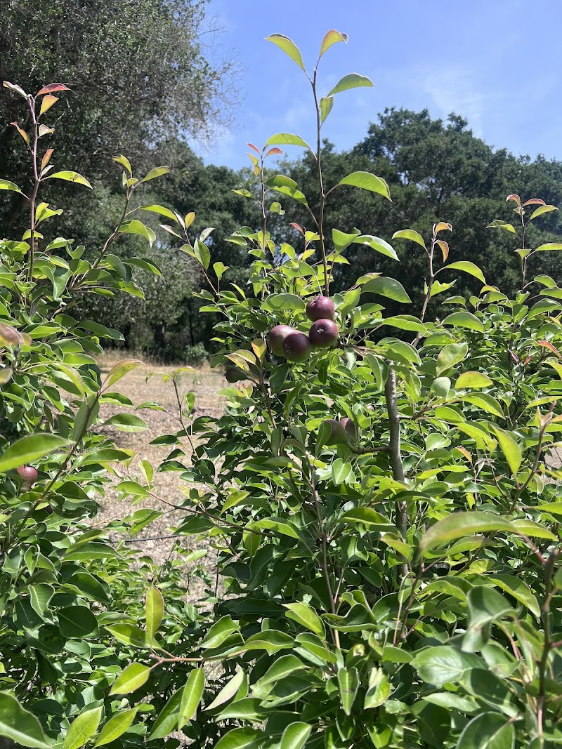 Photo of Tomgirl Farms