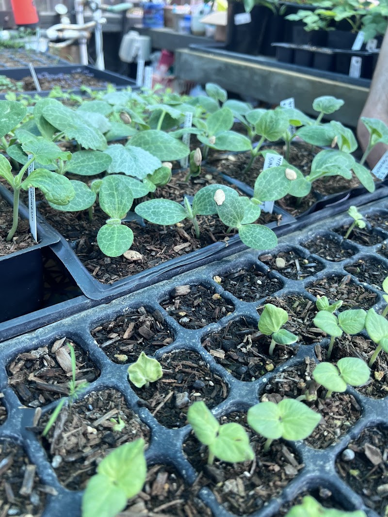 Tomgirl Farms photo 2