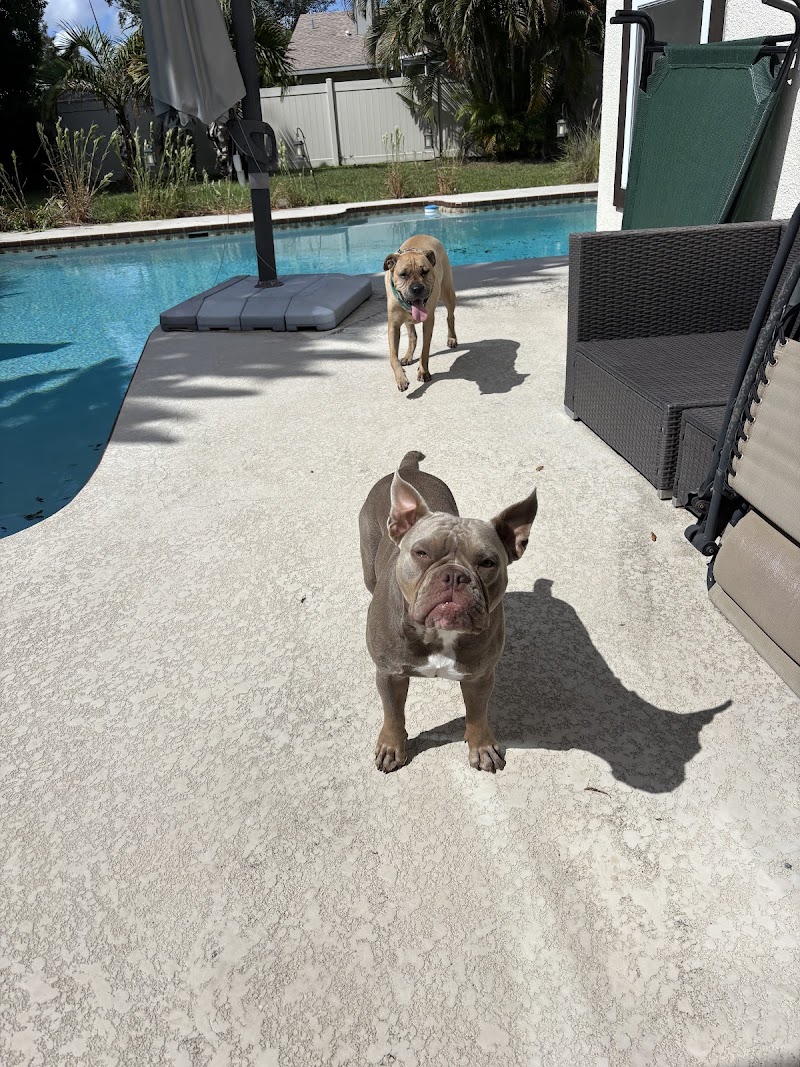 Pawtons Pet Care LLC photo 3