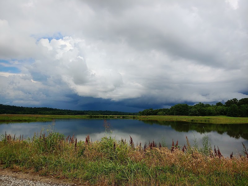 Cross Creeks National Wildlife Refuge photo 5