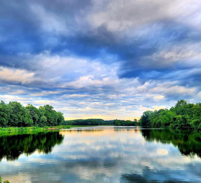 Cross Creeks National Wildlife Refuge photo 2