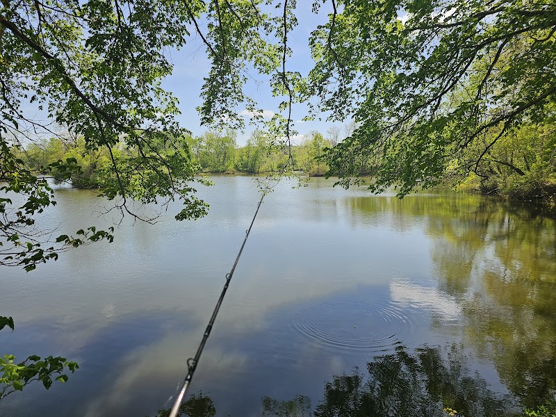 Cross Creeks National Wildlife Refuge photo 4