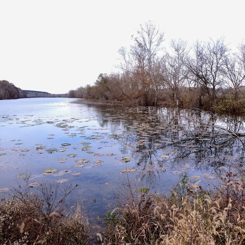 Photo of Cross Creeks National Wildlife Refuge