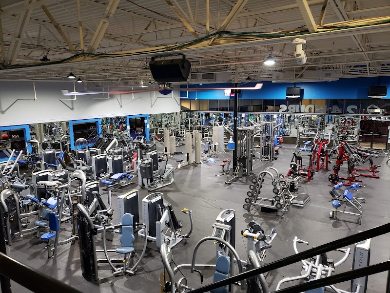Fitness 360 Palm Harbor photo 2