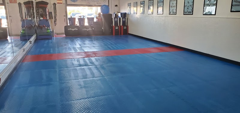 Lim's TaeKwonDo Academy photo 2
