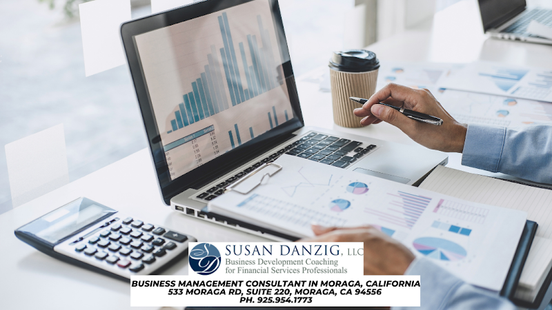 Susan Danzig - Business Development Coaching for Financial Services Professionals photo 2