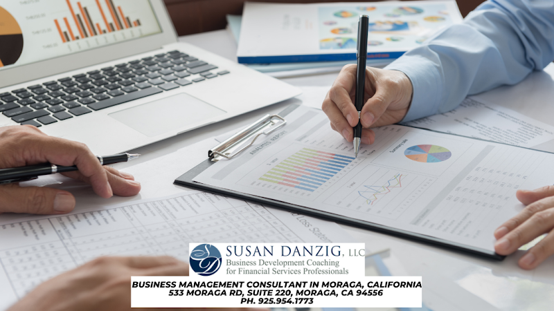 Susan Danzig - Business Development Coaching for Financial Services Professionals photo 4