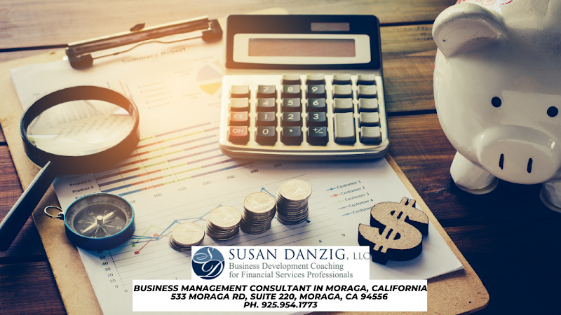 Photo of Susan Danzig - Business Development Coaching for Financial Services Professionals
