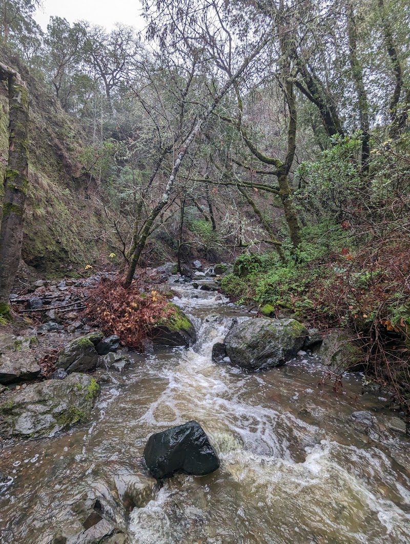 Cascade Canyon Preserve photo 2