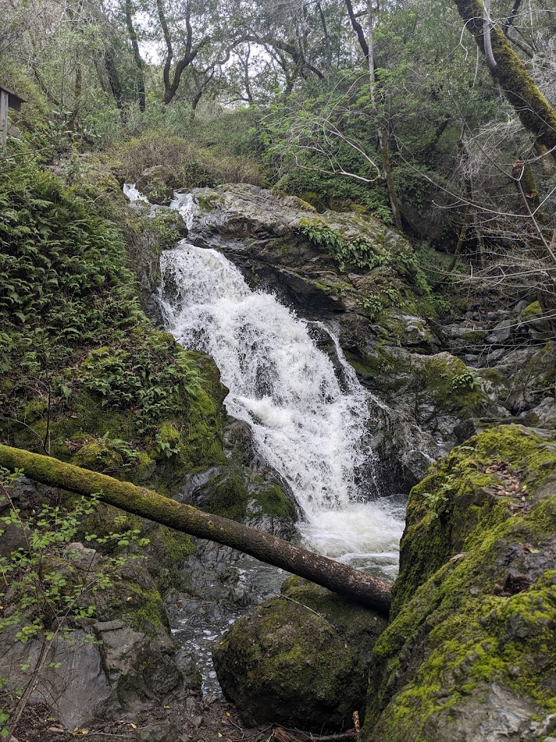 Photo of Cascade Canyon Preserve
