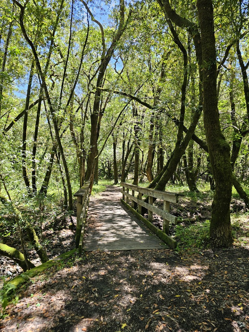 Cascade Canyon Preserve photo 4