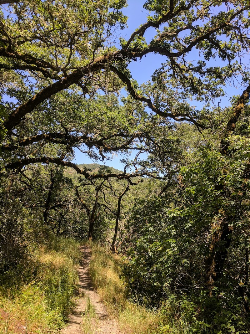 Cascade Canyon Preserve photo 5