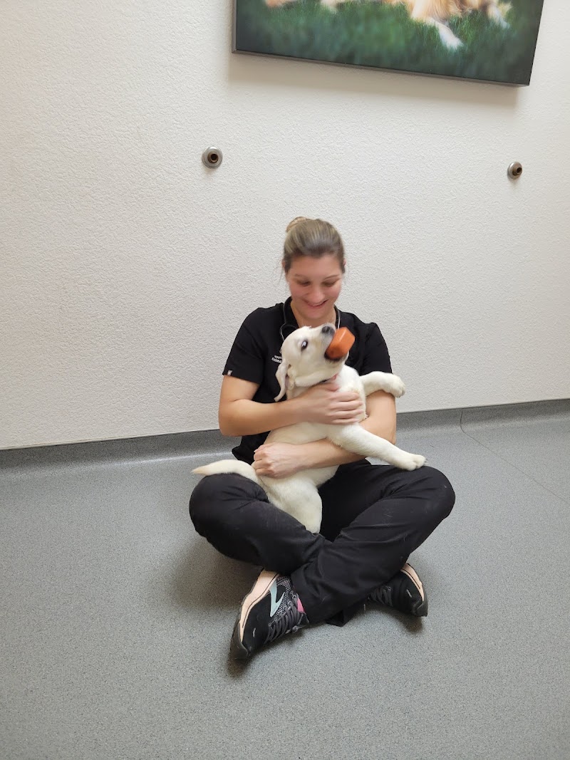 South County Animal Hospital photo 2