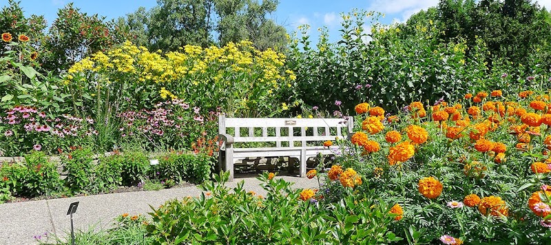 Photo of Matthaei Botanical Gardens