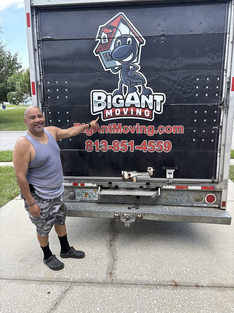 Big Ant Moving photo 3