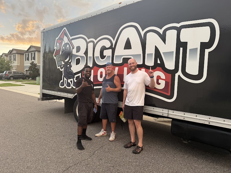 Big Ant Moving photo 5