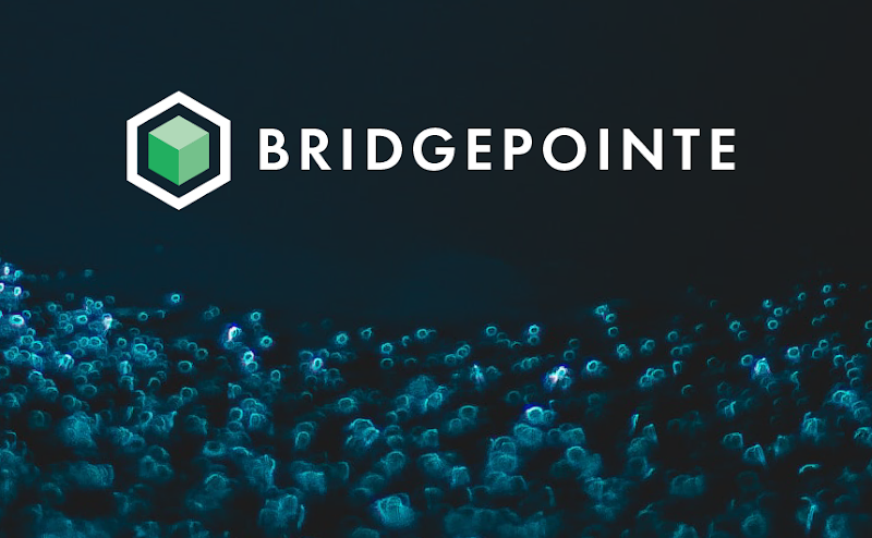 Bridgepointe Technologies LLC photo 4