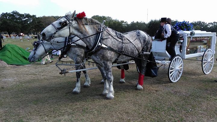 Davis and Davis Funeral Services photo 4