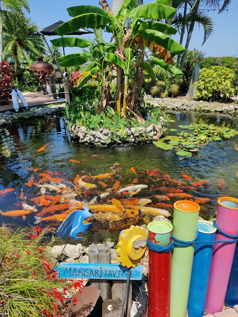 The Fish Hole at Lakewood Ranch photo 3