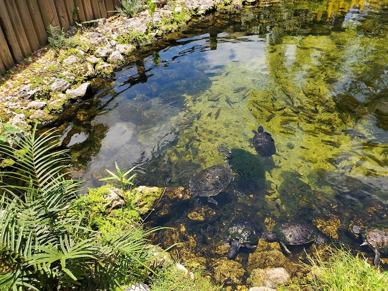 The Fish Hole at Lakewood Ranch photo 4