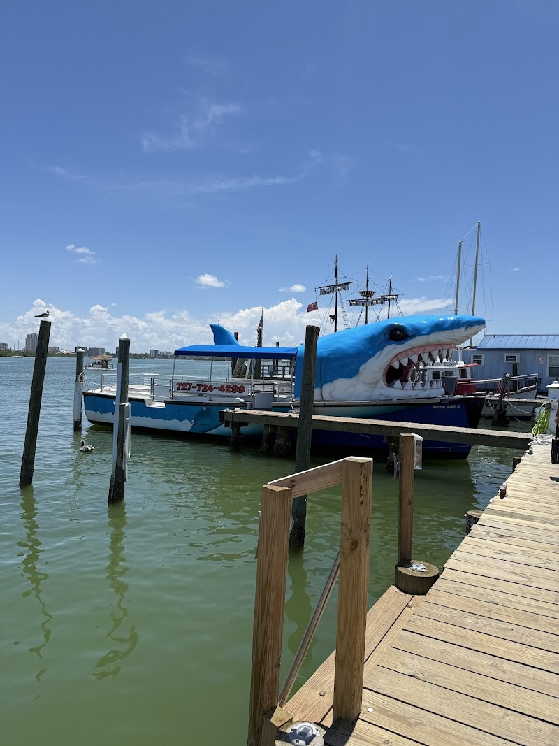 Mega Bite dolphin tours Clearwater Beach photo 2