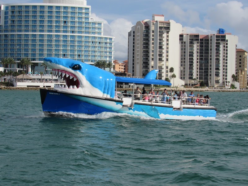 Photo of Mega Bite dolphin tours Clearwater Beach