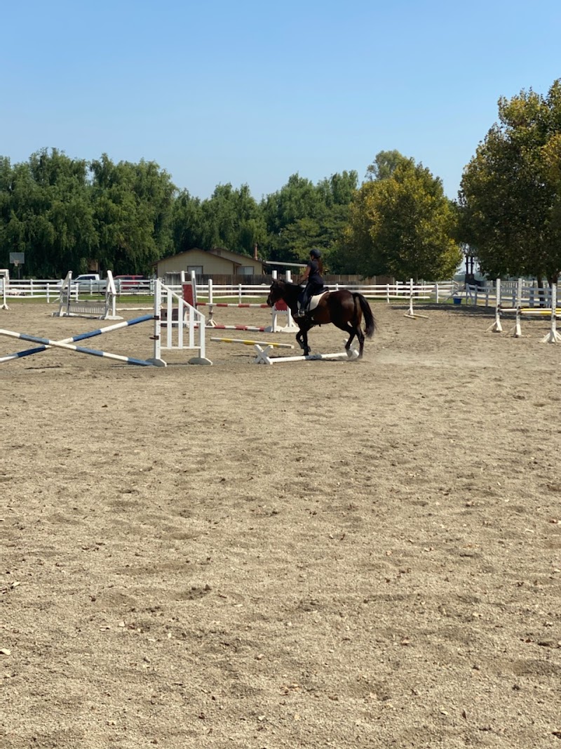 Four Star Farm photo 3