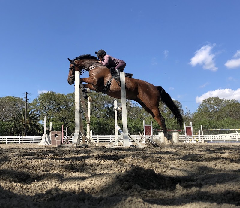 Four Star Farm photo 2