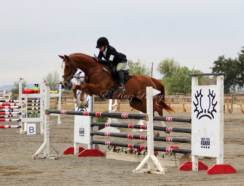 Photo of Four Star Farm
