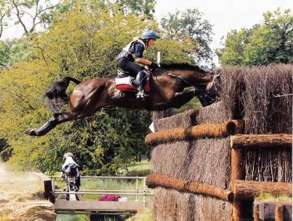 Four Star Farm photo 4