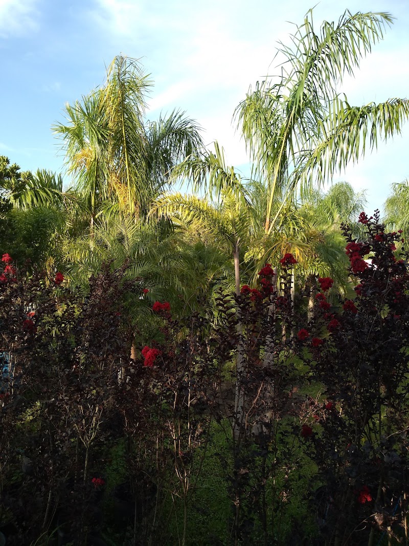 Photo of Morse's Landscaping & Nursery, LLC