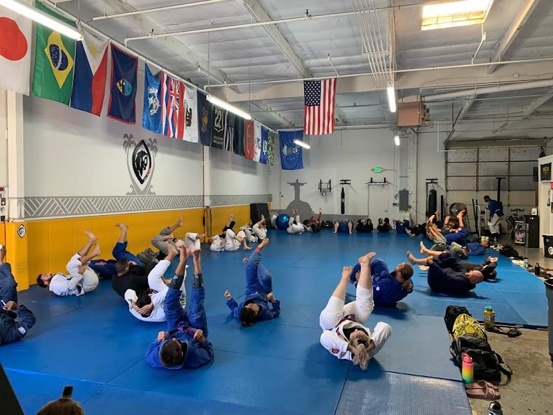 Sabre Jiu Jitsu Academy photo 2