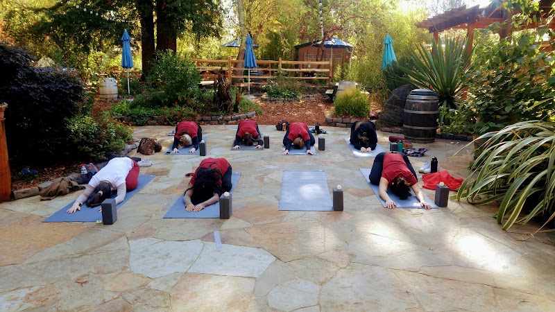 Samadhi Sanctuary Wellness photo 2