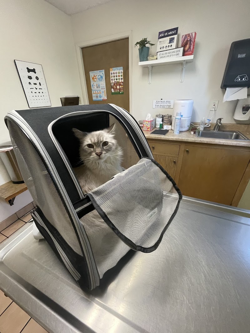 DeAnza Veterinary Clinic photo 5
