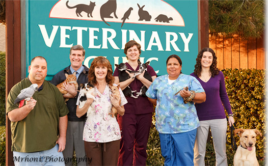 Photo of DeAnza Veterinary Clinic