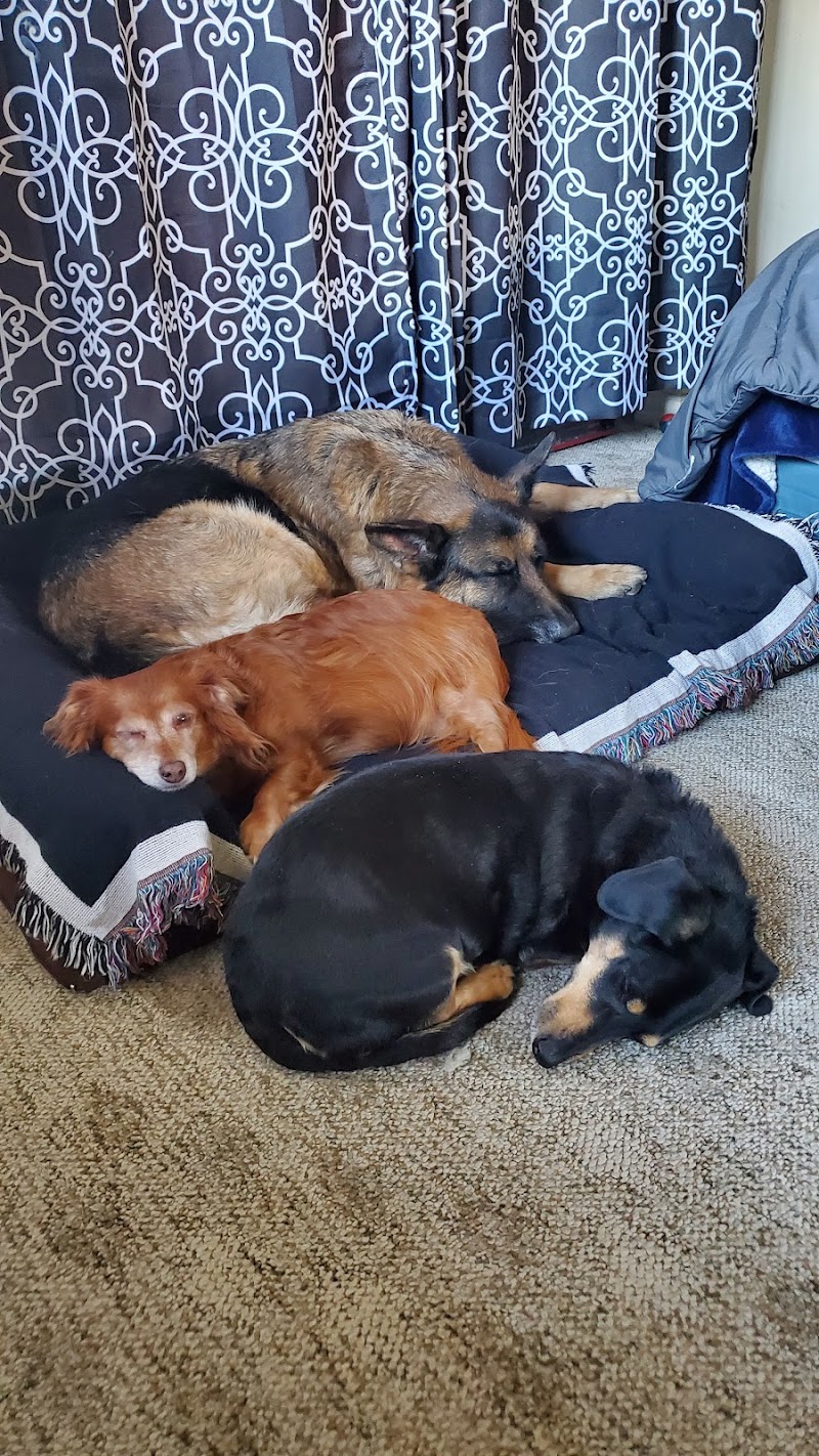 DeAnza Veterinary Clinic photo 4