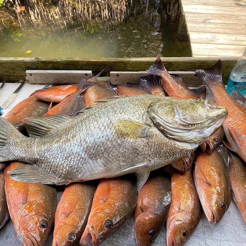 Inshore Fishing Guide : Capt. Jim Bennett photo 3