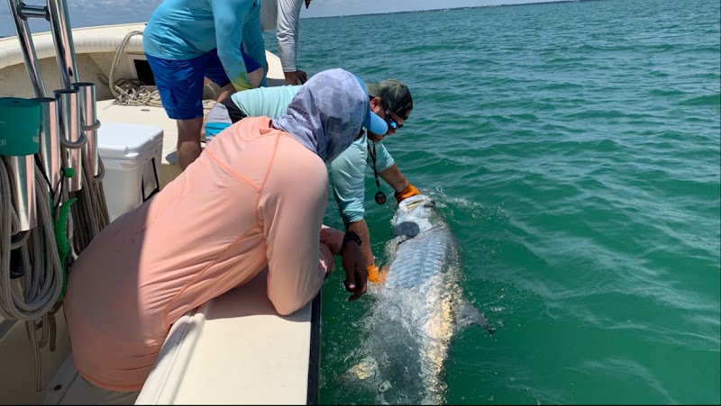 Photo of Inshore Fishing Guide : Capt. Jim Bennett