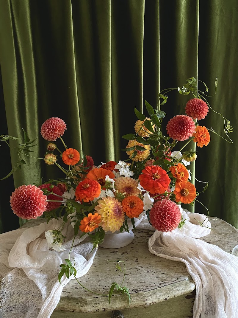 Papillon Floral Design photo 2