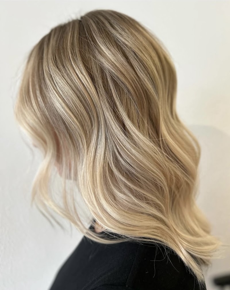 sage salon | AVEDA hair salon in Land O' Lakes photo 2