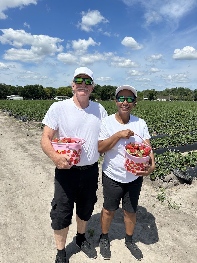 5K Farms photo 5