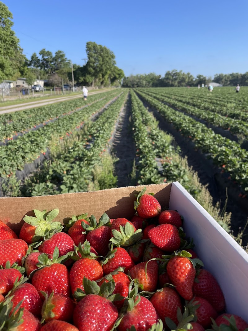 5K Farms photo 2