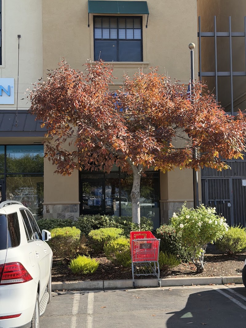 United States Postal Service East Palo Alto photo 3
