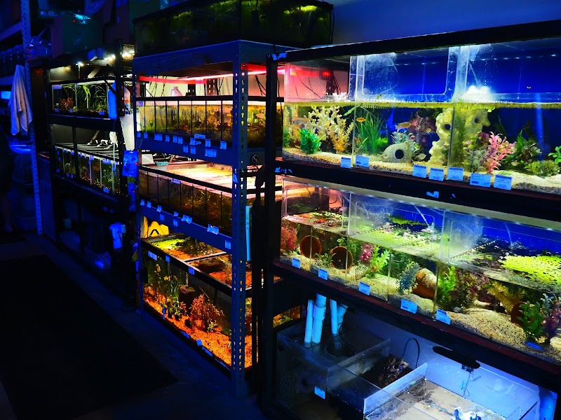 Shark Reef photo 2